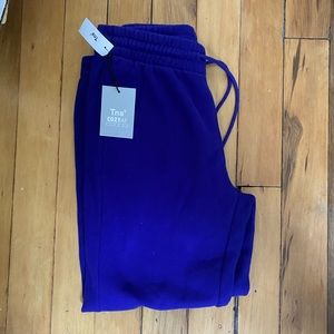 Aritzia TNA Boyfriend Sweatpants